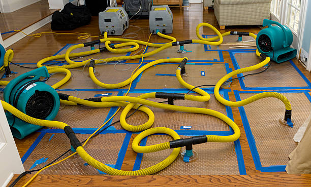 Professional Burst Pipe Water Damage technician working in San Simeon, CA